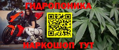 Альфа ПВП Донской