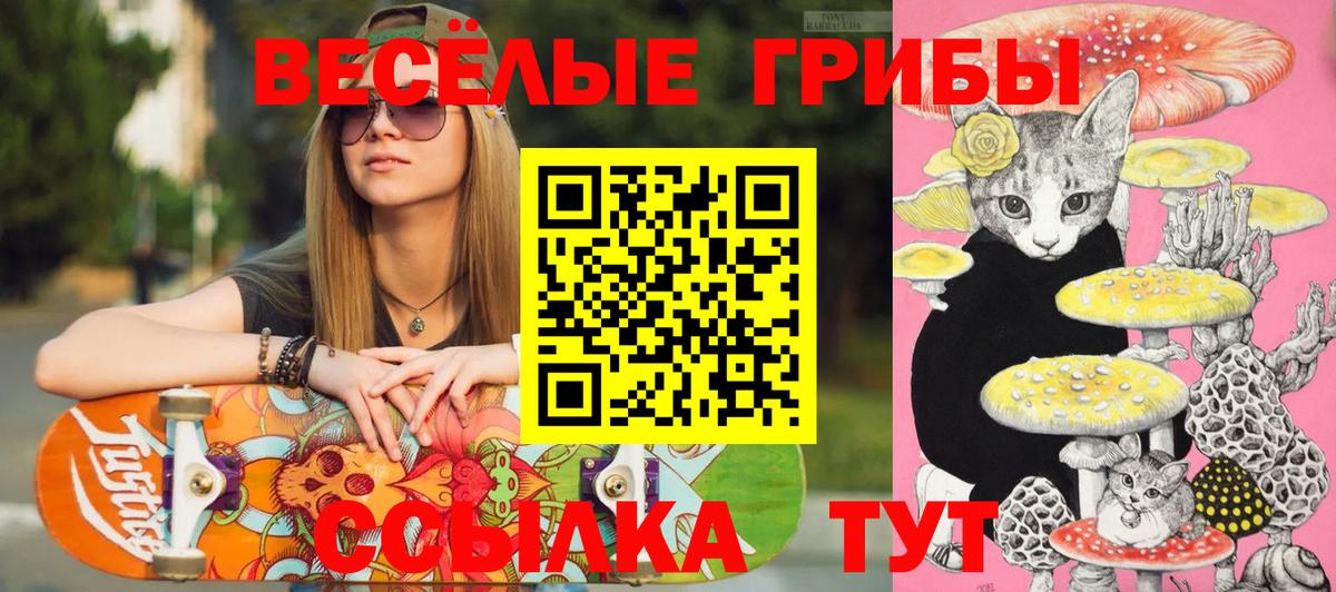 Галлюциногенные грибы MAGIC MUSHROOMS  Вход с VPN  Янаул 